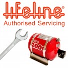 Lifeline Zero 2000 2.25ltr Electric - System Service