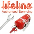 Lifeline Zero 2000 FIA 4.0ltr Fire Marshal Mechanical - System Service