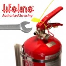 Lifeline Zero 2000 2.25ltr Club Fire Marshal Mechanical - System Refill